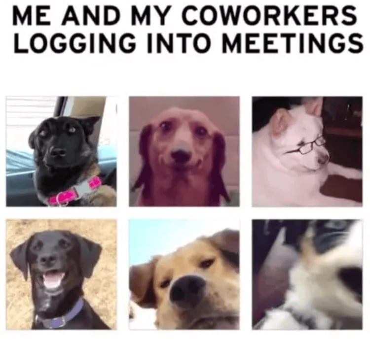 working-from-home-meme-21.png