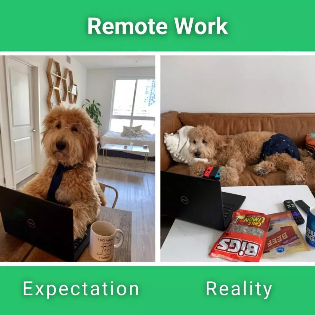 remote-work-expectations-reality-1024x1024.jpg